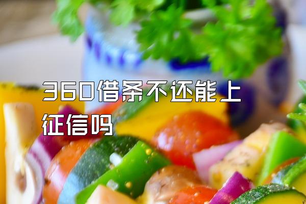 360借条不还能上征信吗