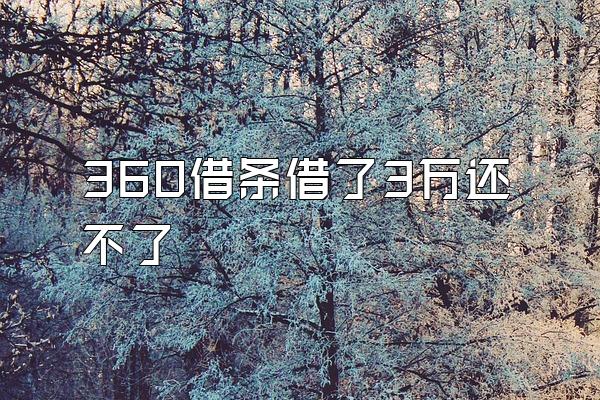 360借条借了3万还不了