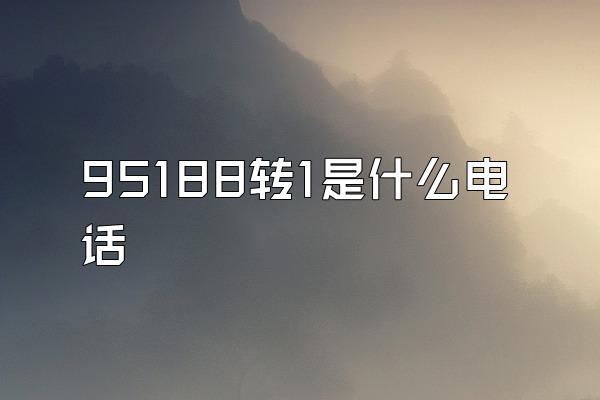 95188转1是什么电话