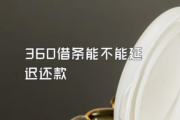 360借条能不能延迟还款