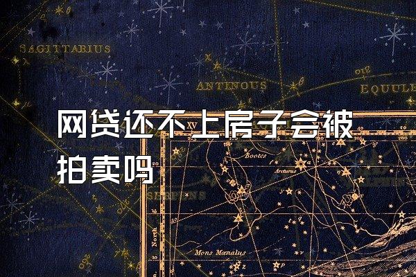 网贷还不上房子会被拍卖吗