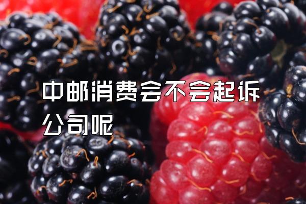 中邮消费会不会起诉公司呢
