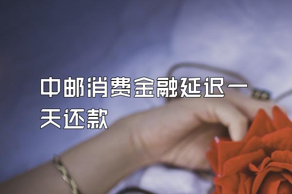 中邮消费金融延迟一天还款