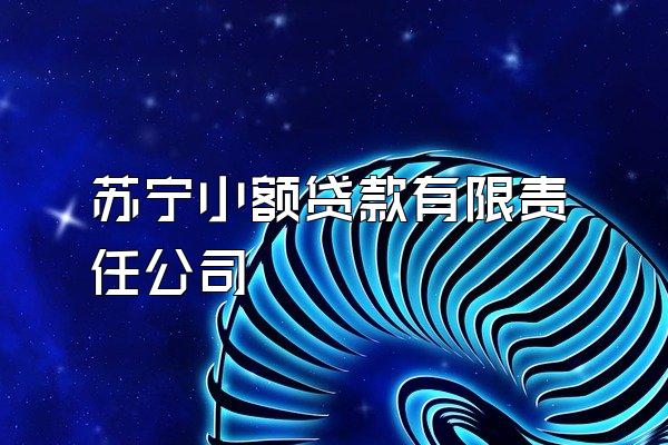苏宁小额贷款有限责任公司