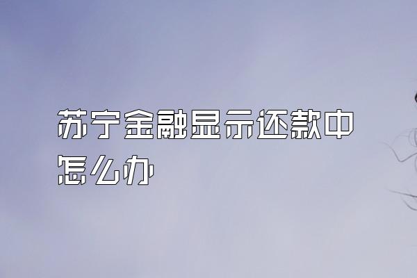 苏宁金融显示还款中怎么办