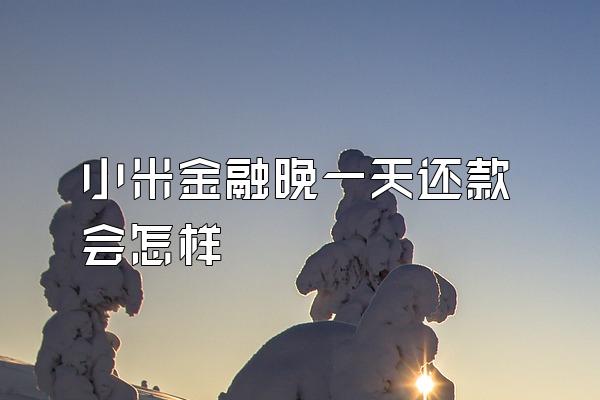 小米金融晚一天还款会怎样