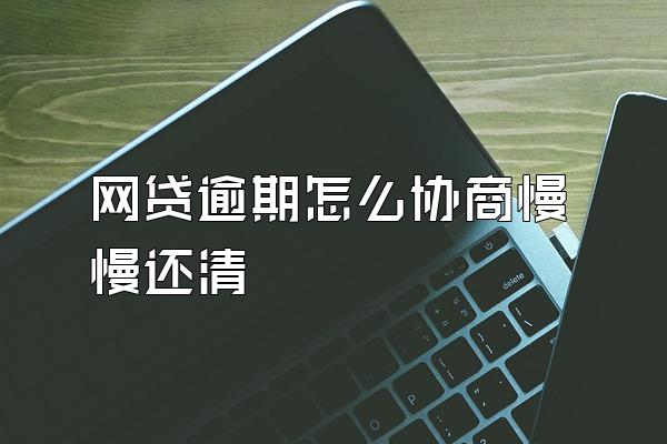 网贷逾期怎么协商慢慢还清