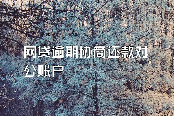 网贷逾期协商还款对公账户