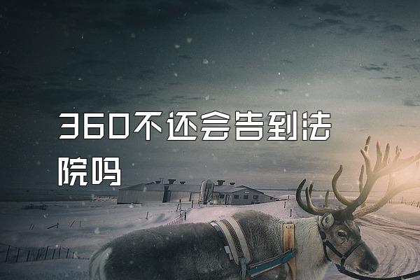 360不还会告到法院吗