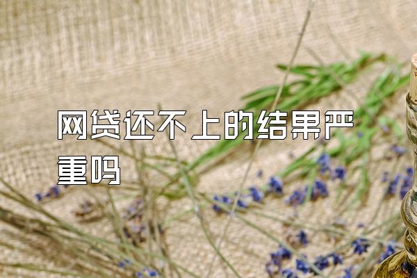 网贷还不上的结果严重吗