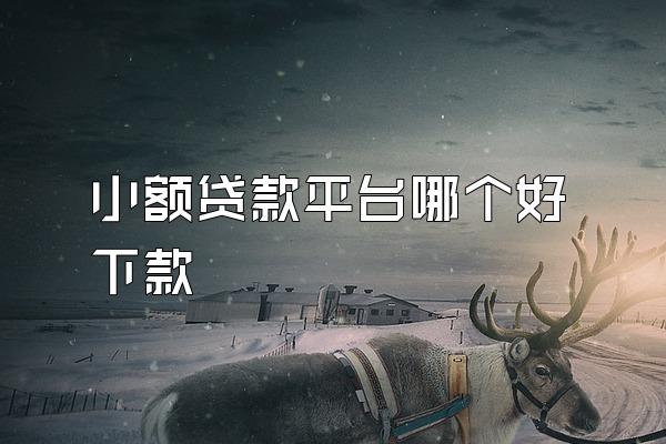 小额贷款平台哪个好下款