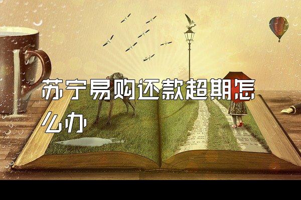 苏宁易购还款超期怎么办