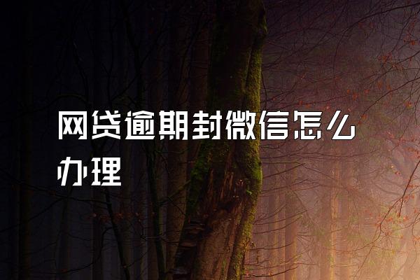 网贷逾期封微信怎么办理