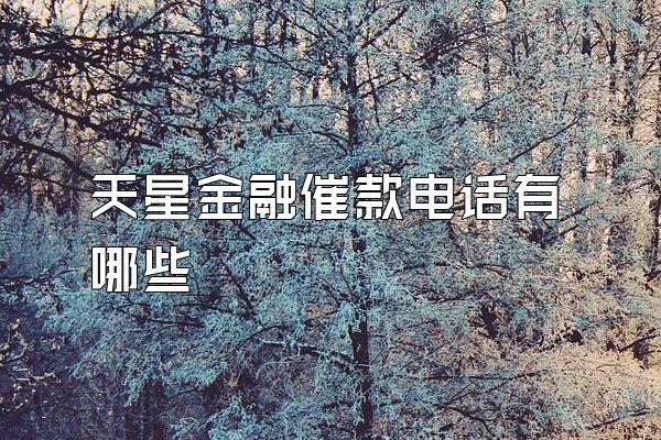 天星金融催款电话有哪些