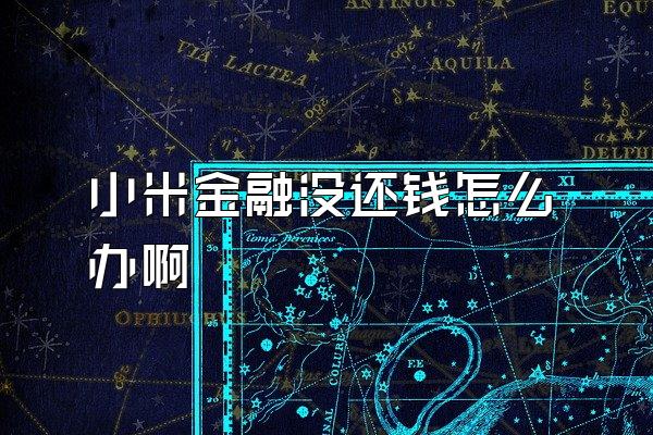 小米金融没还钱怎么办啊