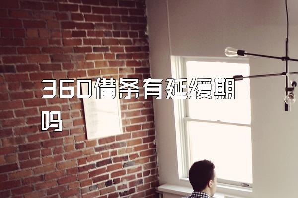 360借条有延缓期吗