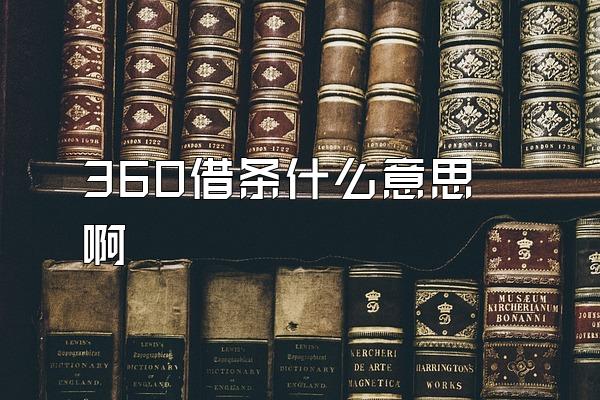 360借条什么意思啊