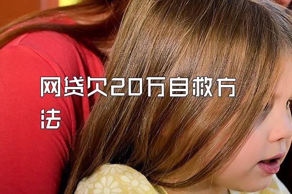 网贷欠20万自救方法