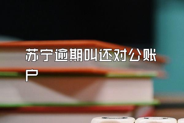 苏宁逾期叫还对公账户