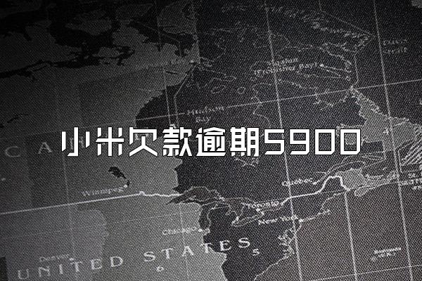 小米欠款逾期5900