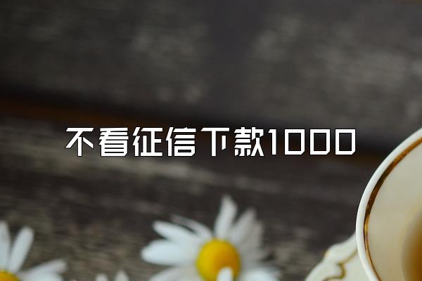 不看征信下款1000
