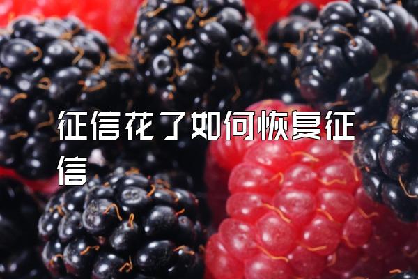 征信花了如何恢复征信