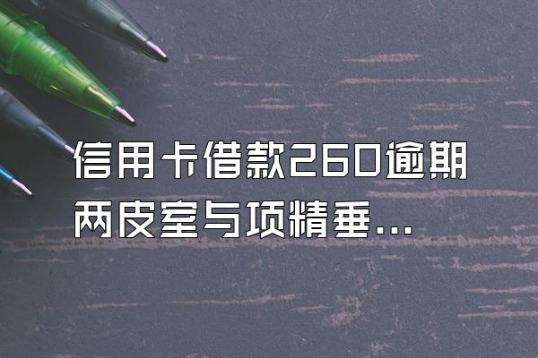 信用卡借款260逾期两皮室与项精垂古补宽天利息总共多少钱?