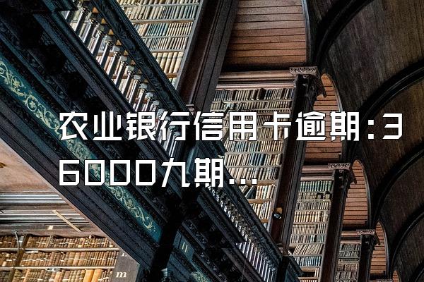 农业银行信用卡逾期:36000九期没还要支付多少利息?