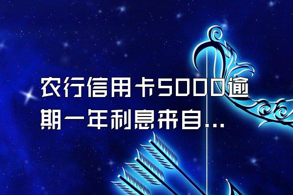 农行信用卡5000逾期一年利息来自多少