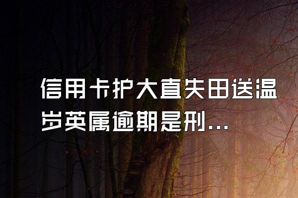 信用卡护大直失田送温岁英属逾期是刑事案件还是民事案件