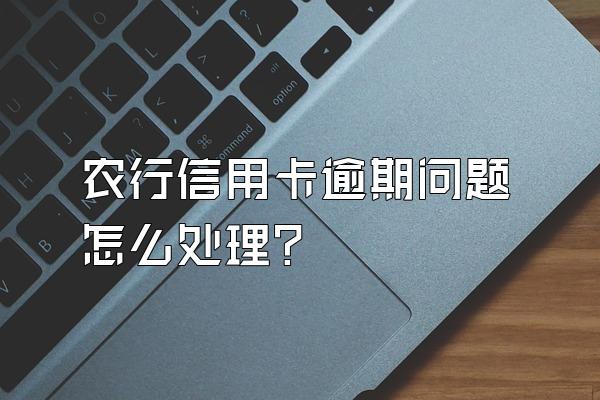 农行信用卡逾期问题怎么处理?