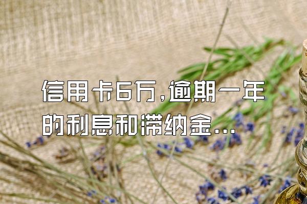 信用卡6万,逾期一年的利息和滞纳金是多少?