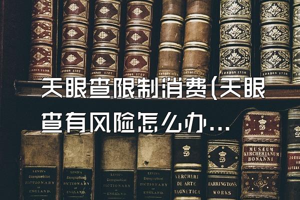 天眼查限制消费(天眼查有风险怎么办)