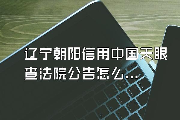 辽宁朝阳信用中国天眼查法院公告怎么优化怎么修复爱企查历