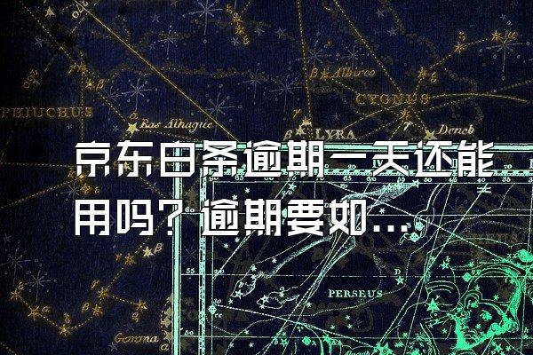 京东白条逾期一天还能用吗？逾期要如何解决？