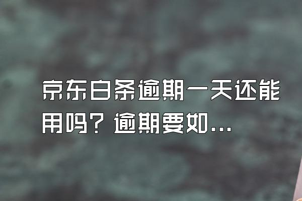 京东白条逾期一天还能用吗？逾期要如何解决？