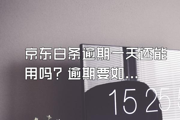 京东白条逾期一天还能用吗？逾期要如何解决？