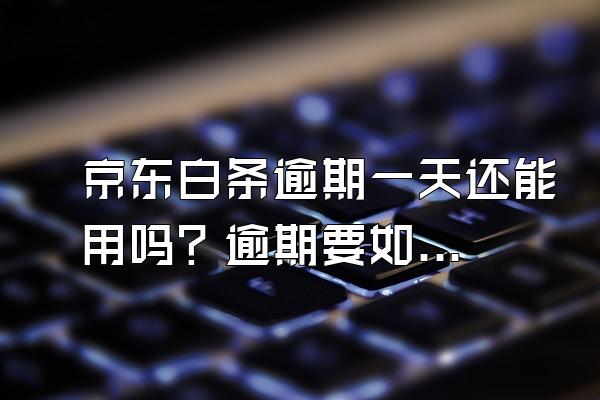 京东白条逾期一天还能用吗？逾期要如何解决？