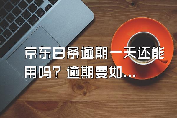 京东白条逾期一天还能用吗？逾期要如何解决？