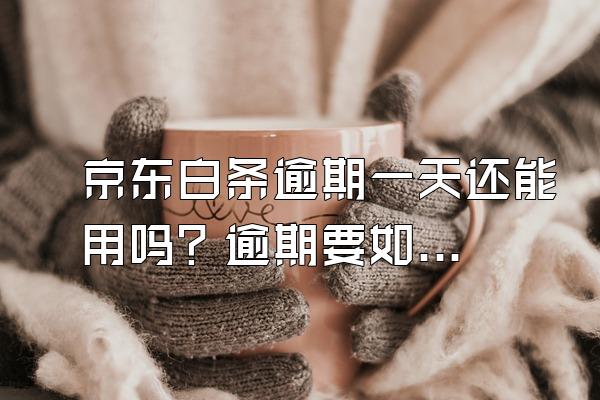 京东白条逾期一天还能用吗？逾期要如何解决？