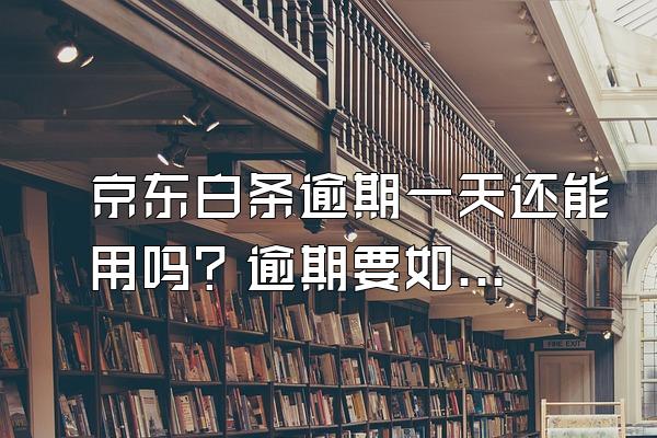 京东白条逾期一天还能用吗？逾期要如何解决？