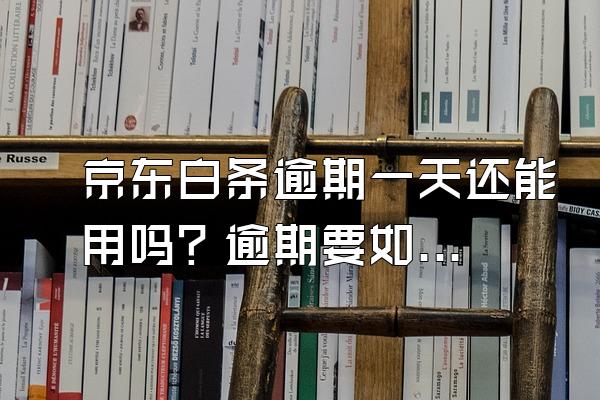 京东白条逾期一天还能用吗？逾期要如何解决？