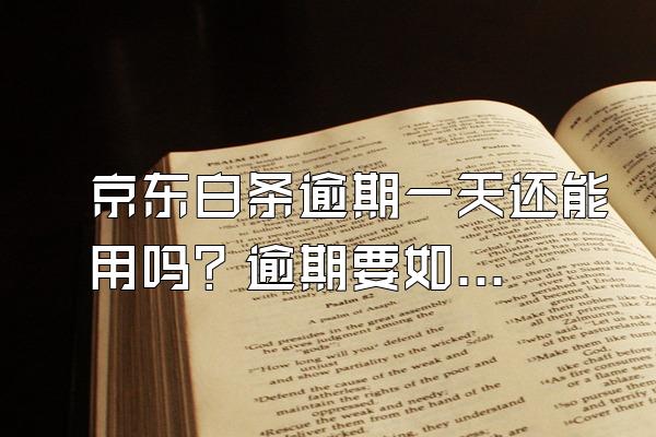 京东白条逾期一天还能用吗？逾期要如何解决？