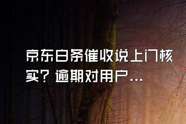 京东白条催收说上门核实？逾期对用户来说信用会影响吗？