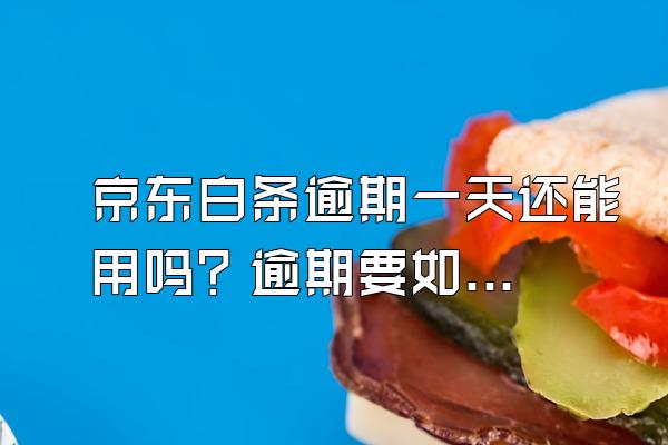 京东白条逾期一天还能用吗？逾期要如何解决？