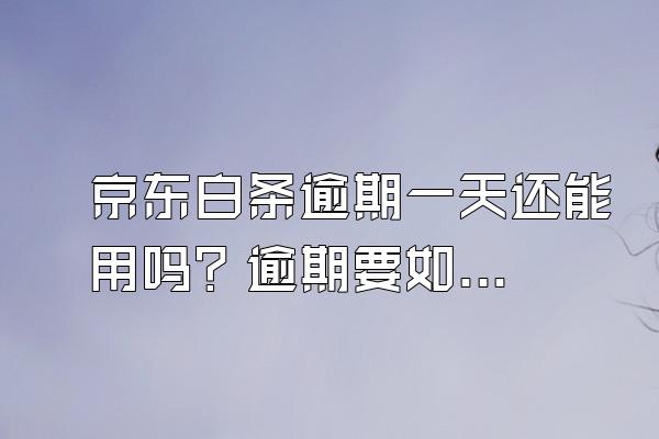 京东白条逾期一天还能用吗？逾期要如何解决？