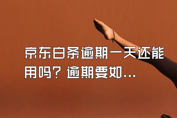 京东白条逾期一天还能用吗？逾期要如何解决？