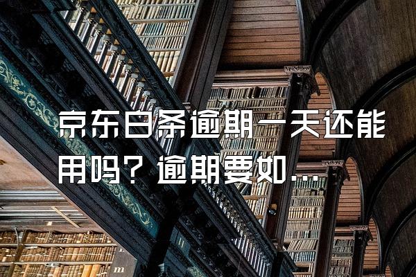 京东白条逾期一天还能用吗？逾期要如何解决？