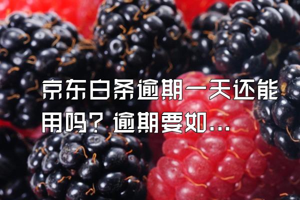 京东白条逾期一天还能用吗？逾期要如何解决？