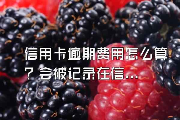 信用卡逾期费用怎么算？会被记录在信用系统上吗？